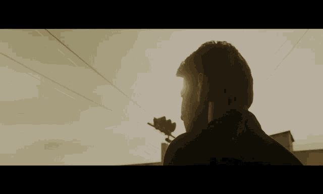 a man stands in front of a telephone pole with the sun behind him
