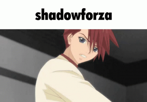 Shadowforza Meme GIF - Shadowforza Meme GIFs