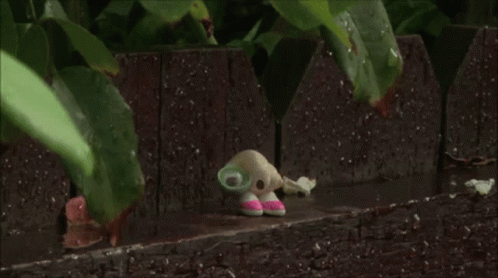 Marcel The Shell Sneeze GIF - Marcel The Shell Sneeze Marcel GIFs