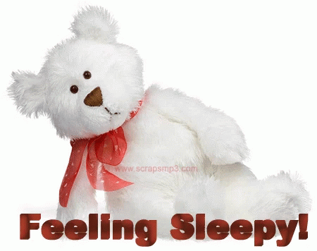 Gross Sleepy GIF - Gross Sleepy Bear GIFs