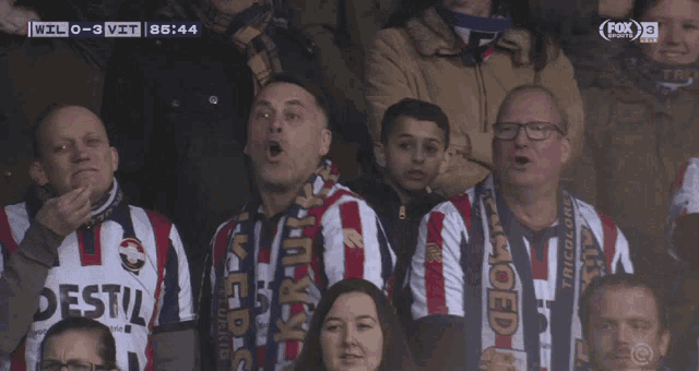 a crowd of people watching a soccer game on fox sports
