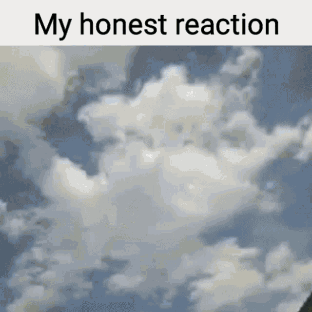 a picture of a cloudy sky with the words my honest reaction below it