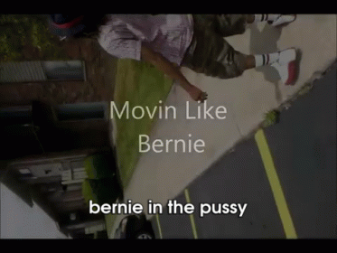 Bern GIF - Bernie In The Pussy GIFs