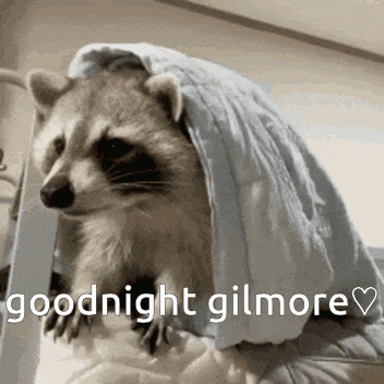a raccoon wrapped in a blanket with the words goodnight gilmore on the bottom
