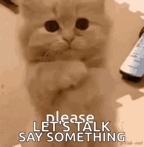 a kitten is sitting on a table next to a cell phone and asking to talk .