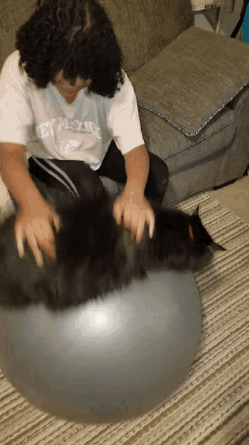 Lazy Bouncing GIF - Lazy Bouncing Cat GIFs
