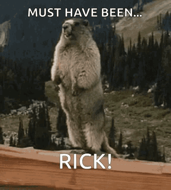 Rick Marmot GIF - Rick Marmot Scream GIFs