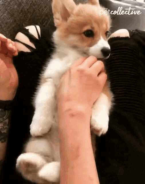 Care Affection GIF - Care Affection I Feel Good GIFs