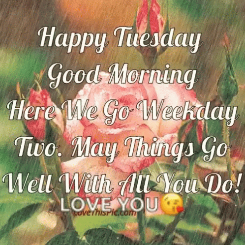 Happy Tuesday Tuesday Morning GIF - Happy Tuesday Tuesday Morning GIFs