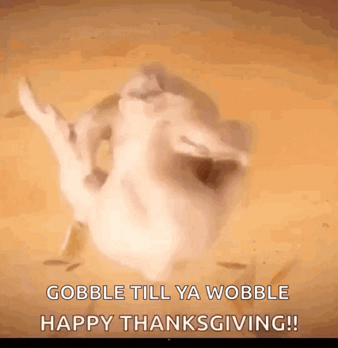 a picture of a cat dancing with the words gobble till ya wobble happy thanksgiving