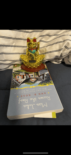 a book by ann b ross sits on a bed