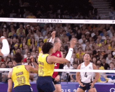 a volleyball game is being played in paris in 2024