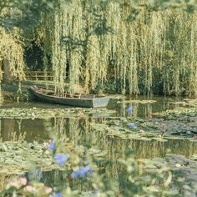 a boat is floating on top of a pond surrounded by willow trees