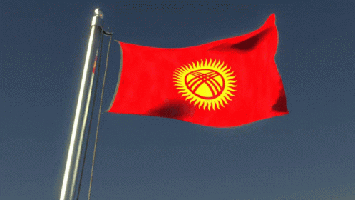 Flag Flag Waver GIF - Flag Flag Waver Kyrgyzstan GIFs