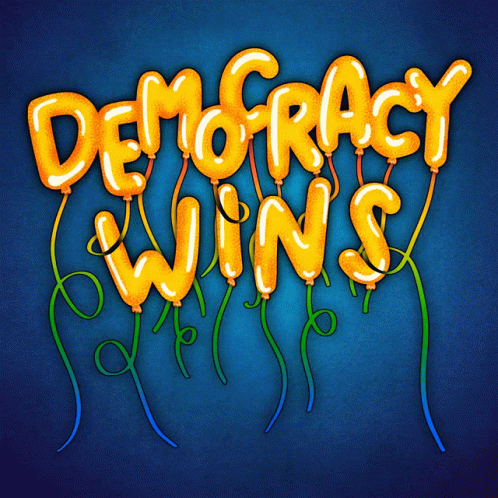 Democracy Democracy Wins GIF