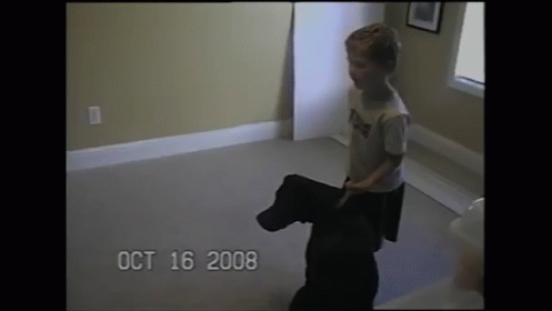 Puppy Pulls Kid Across Floor GIF - Puppy Dog Kid GIFs