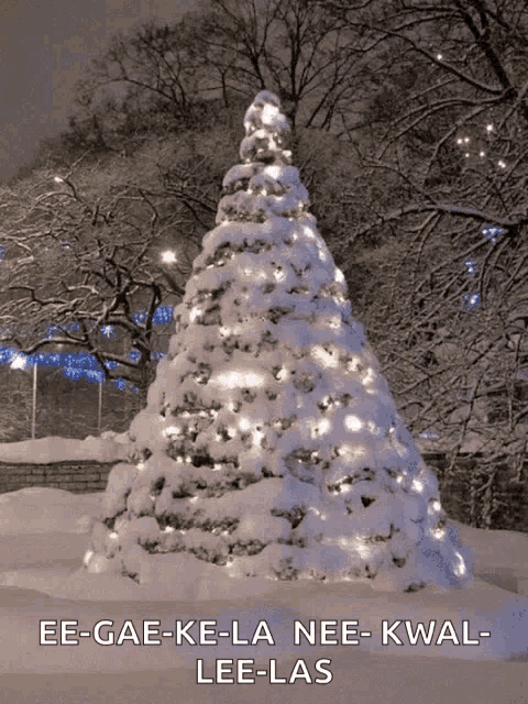 a snow covered christmas tree with the words ee-gae-ke-la nee-kwal-lee-las
