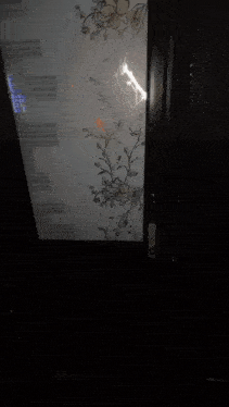 a person is opening a door that has a floral design on it