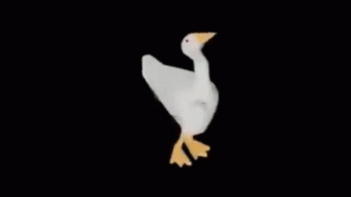 Duck Dancing Duck GIF - Duck Dancing Duck Goose GIFs