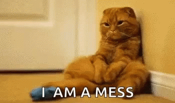 I Am A Mess Cat GIF - I Am A Mess Cat Sad GIFs