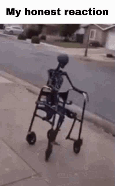 Skeleton Wheelchair GIF - Skeleton Wheelchair My Honest Reaction GIFs