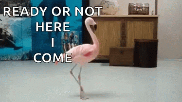 Pink Flamingo Hide And Seek GIF - Pink Flamingo Hide And Seek Ready Or Not Here I Come GIFs