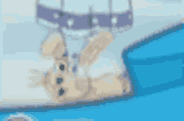 a dog is laying on top of a blue box in a hot air balloon .