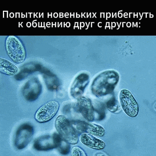 a picture of bacteria under a microscope with russian text