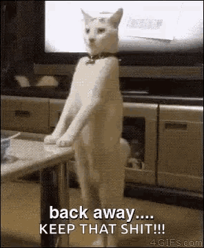 Back Away Cat GIF - Back Away Cat Backwards GIFs