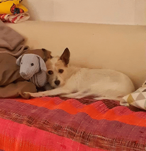 Encontraréa Cocô GIF - Encontraréa Cocô GIFs