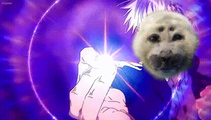 a person is holding a seal 's head in their hand in front of a purple background .