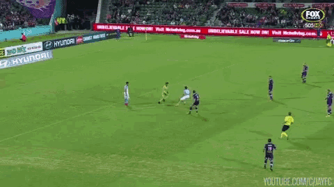 a soccer game is being played on a field sponsored by hyundai and fox sports