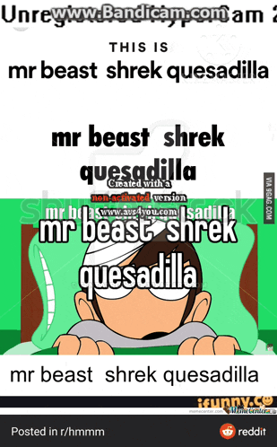 mr beast shrek quesadilla is created with a non-animated version of shrek