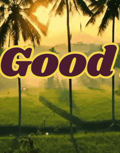 a picture of a field with palm trees and the word good in the foreground