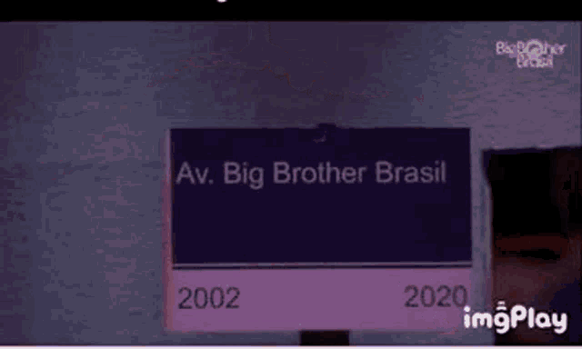 a woman is standing in front of a big brother brasil sign .