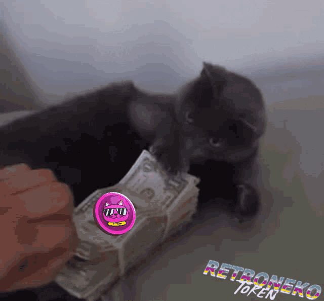 a person is putting money in a cat 's mouth with a retroneko token sticker