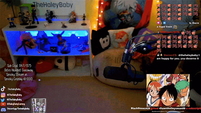 a screenshot of a stream on the holeybaby