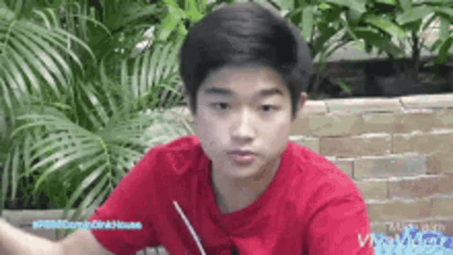 a young boy in a red shirt is sitting in front of a brick wall and palm trees .