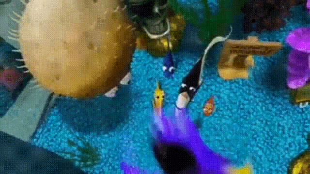 a group of fish are swimming in a tank with a puffer fish floating in the water .