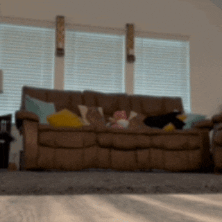 a living room with a couch and a chair