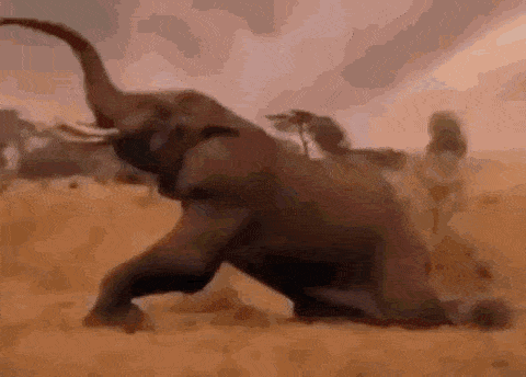 an elephant is laying on the ground in the desert with its trunk up .