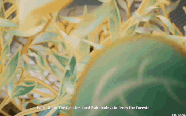 a screenshot of a video game that says " were it not for greater lord rukkhadevata from the forests "