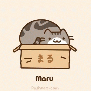 Pusheen Cat GIF - Pusheen Cat Maru GIFs