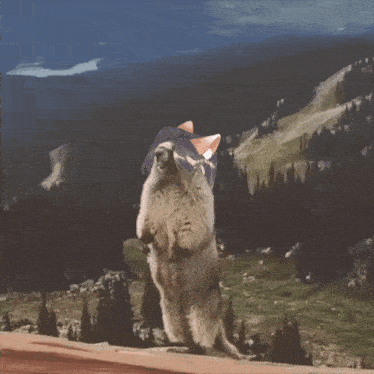 a squirrel standing on its hind legs in front of a forest