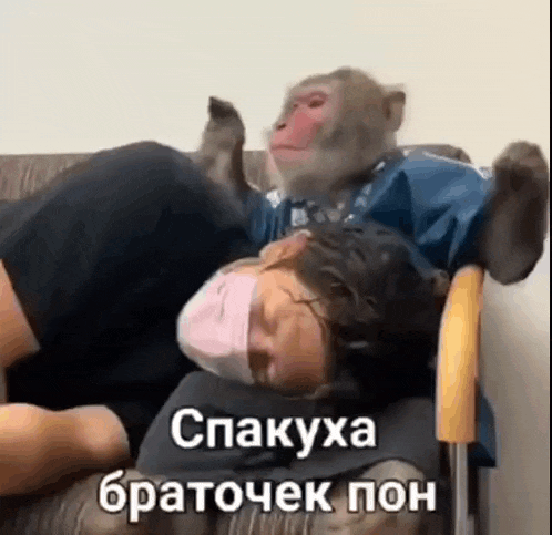 a man wearing a mask is laying on a couch with a monkey on his back .