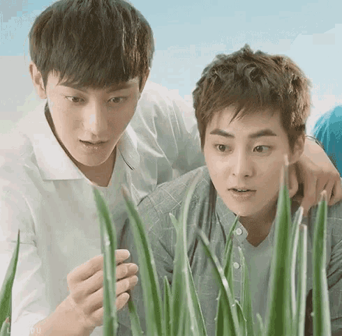two young men are standing next to each other in the grass .