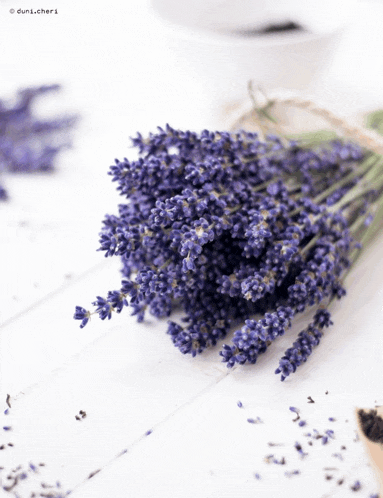a bunch of purple flowers sitting on a white table