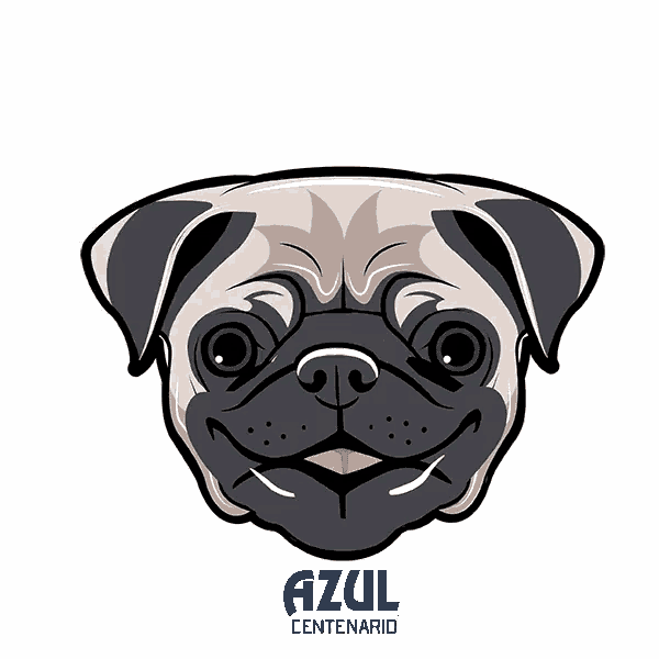 an illustration of a pug wearing sunglasses and the words azul centenario below it