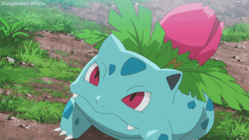 a picture of a pokemon with the words sunglasses-kitaro on the bottom