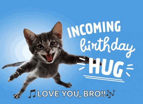 a cat jumping in the air with the words incoming birthday hug